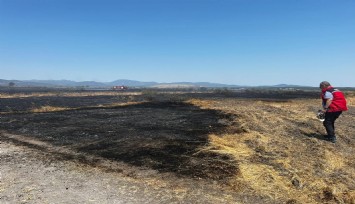 Merada çıkan yangında 200 dekar alan etkilendi