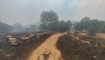 Muğla’daki yangın Stratonikia Antik kentindeki zirai alanda etkili oluyor