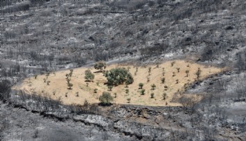 Ödemiş'te sürülen toprak alevlere geçit vermedi
