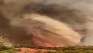 Orman yangınının en çarpıcı görüntüsü: Alevler adeta hortum oluşturdu