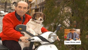 Ormanda çok yaşa Tarık Sarı..