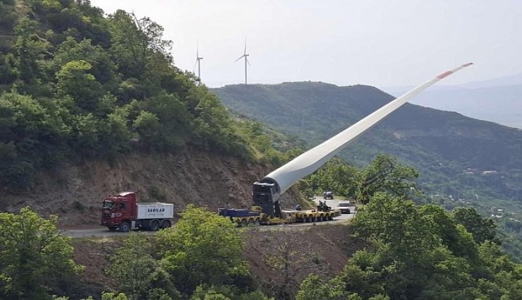 Ormanlar yanarken, yatırımcılar Süper İzin'i kutluyor
