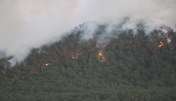 Söndürülen yangın yeniden alevlendi, 95 ev tahliye edildi
