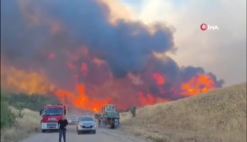 Tekirdağ’daki orman yangını kontrol altına alındı