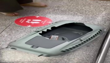 Uçak yolculuğu kabusa döndü: Evcil hayvlarından birisi kayboldu diğeri kırık kafeste geldi