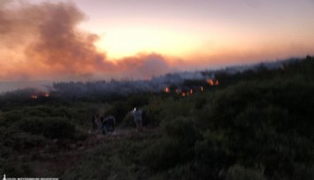 Urla’da yangın kontrol altına alındı