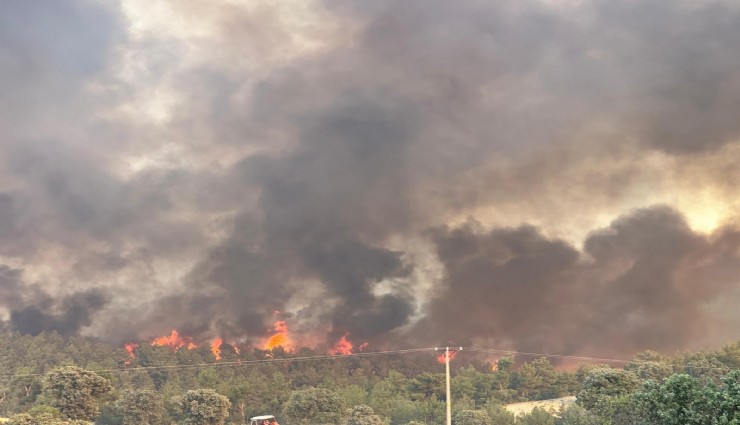 Uşak'ta orman yangını sürüyor