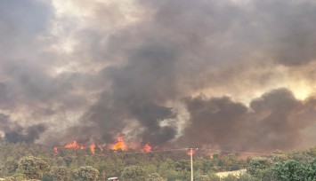 Uşak'ta orman yangını sürüyor