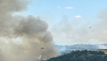Uşak'ta ormanlık alanda çıkan yangına müdahale devam ediyor