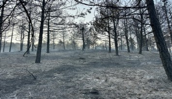 Uşak’taki orman yangını kısmen kontrol altına alındı: Soğutma çalışmaları sürüyor