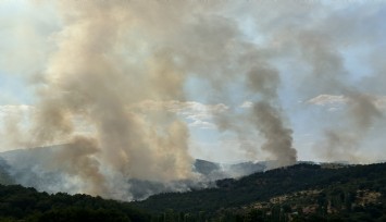 Uşak’taki orman yangınına havadan ve karadan müdahale devam ediyor