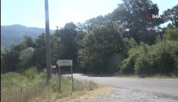 Yalova’da miras kavgası: Ağabey tüfekle kardeşini öldürdü