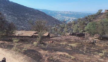 Yangından geriye bu görüntüler kaldı: Evler ve araziler küle döndü