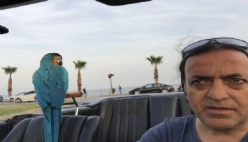 8. Cumhurbaşkanı Turgut Özal’ın papağanı ‘Cabbar’ yine çalındı