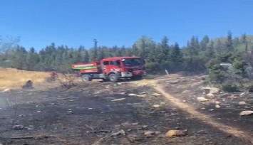 Aliağa'da ormanlık alanda çıkan yangın hızlı müdahale ile söndürüldü