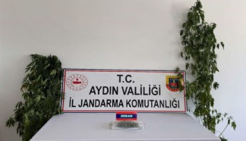 Aydın'da tacirlere baskın sürprizi: 13 şüpheli yakalandı