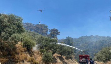 Aydın Germencik’te orman yangını kontrol altına alındı: Söndürme faaliyetleri sürüyor