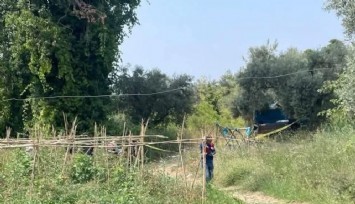 Bahçesini domuzlardan korumak için evden çıktı: Tarlasında cesedi bulundu