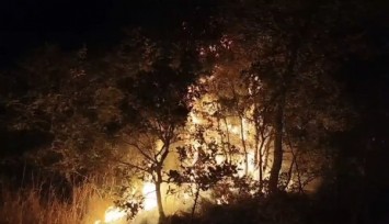 Balıkesir'de çöplükte başlayan yangın araziye sıçradı