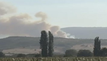 Balıkesir Susurluk'ta orman yangını