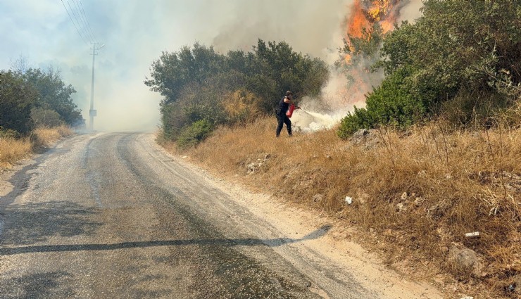 Bodrum’da makilik alanda yangın paniği: 'Havadan ve karadan müdahale sürüyor'