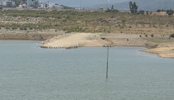 Bodrum’da su alarmı: 'Barajlar kritik seviyeye geriledi'