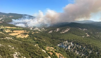 Bolu’da başlayan orman yangınına havadan ve karadan müdahale ediliyor