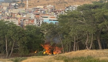 Bornova Çamkule’de orman yangını:  Alevler yerleşim yerine yaklaşıyor