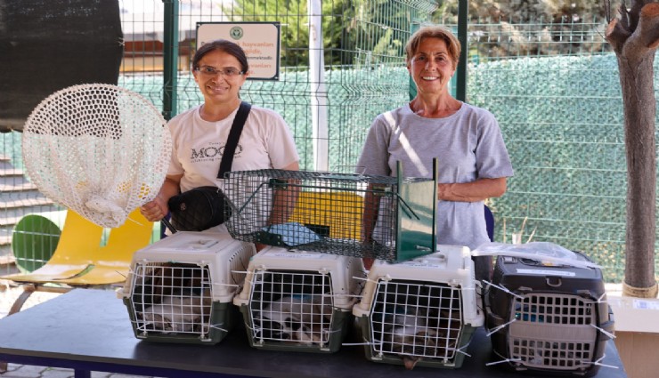 Buca Belediyesi'nden sokak hayvanlarına sevgi dolu hizmet