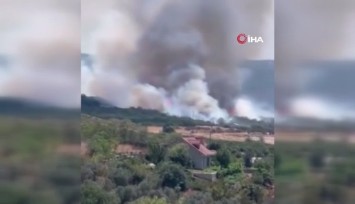 Bursa’da orman yangını