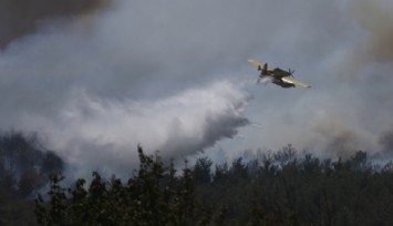 Çanakkale'de orman yangını