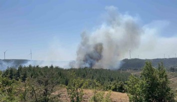 Çanakkale'de yangına müdahale sürüyor
