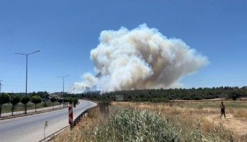Çanakkale’deki yangın nedeniyle Güzelyalı’da tahliye kararı alındı
