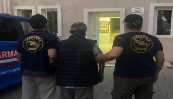 Çocukları kullanıp sokak hayvanlarını zehirlemişti: Yakalanıp tutuklandı