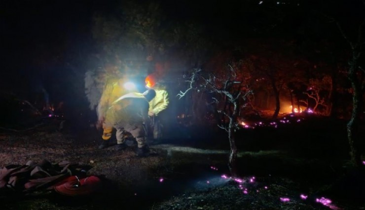 Denizli-Aydın sınırında orman yangını: Kontrol altına alındı