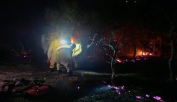 Denizli-Aydın sınırında orman yangını: Kontrol altına alındı