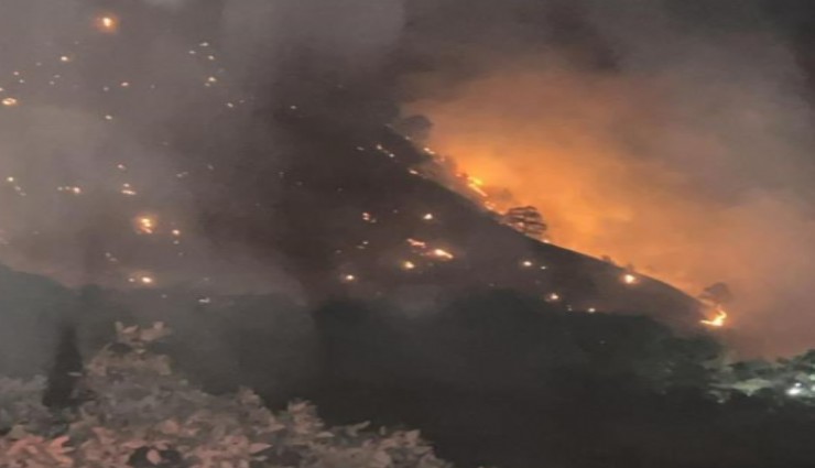 Denizli Buldan’da orman yangını: Dozer operatörü yaralandı