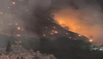 Denizli Buldan’da orman yangını: Dozer operatörü yaralandı