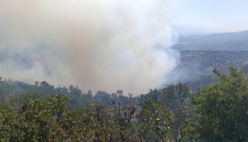 Denizli Buldan’da orman yangını: Karadan ve havadan müdahale sürüyor