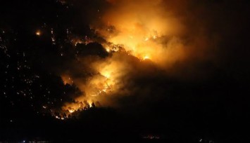 Denizli’de çıkan orman yangını kontrol altına alındı