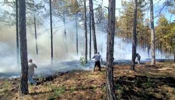 Denizli'de orman yangını: Müdahale sürüyor