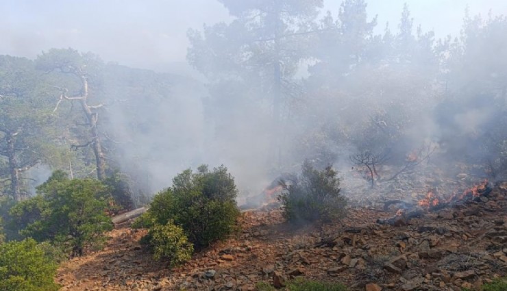 Denizli’de yangına müdahale sürüyor