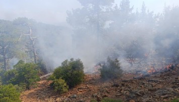 Denizli’de yangına müdahale sürüyor