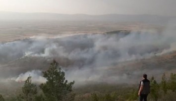 Denizli'deki orman yangını kontrol altına alındı