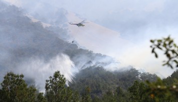 Denizli'deki orman yangınında soğutma çalışmaları devam ediyor