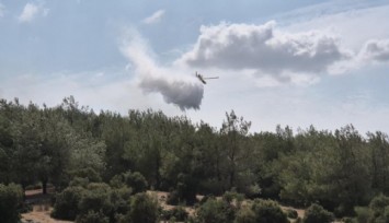 Edirne’de ormanlık alana sıçrayan yangına havadan ve karadan müdahale ediliyor