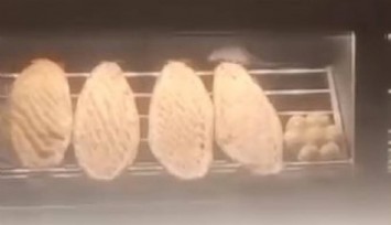 Elazığ’da bir fare ekmeklerin üstünde gezerken görüldü