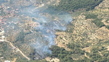 Germencik'te orman yangını