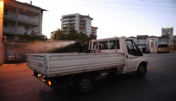 Haşerelere karşı kararlı mücadele