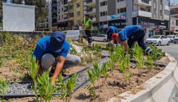 İzmir Büyükşehir Belediyesi’nden kuraklıkla mücadele: Susuzluğa dayanıklı bitkilerle yeşil alanlar